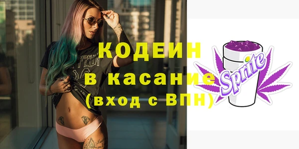 гидра Арсеньев