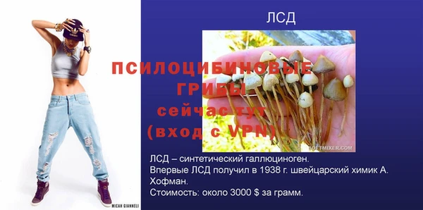 гидра Арсеньев